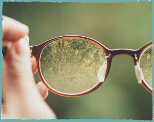 a través de las lentes de unas gafas se ve un bosque que aparece difulminado fuera de ellas